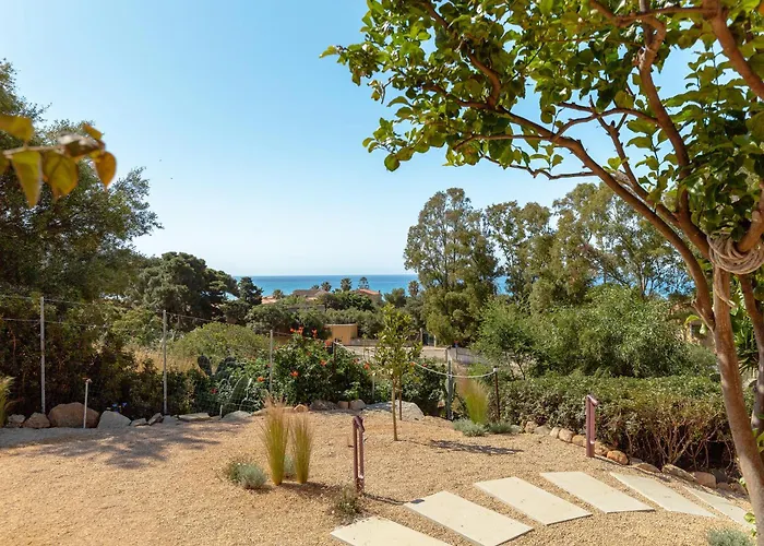 Lentischio A Pochi Passi Dal Mare Cristallino Di Villa Solanas (Cagliari)